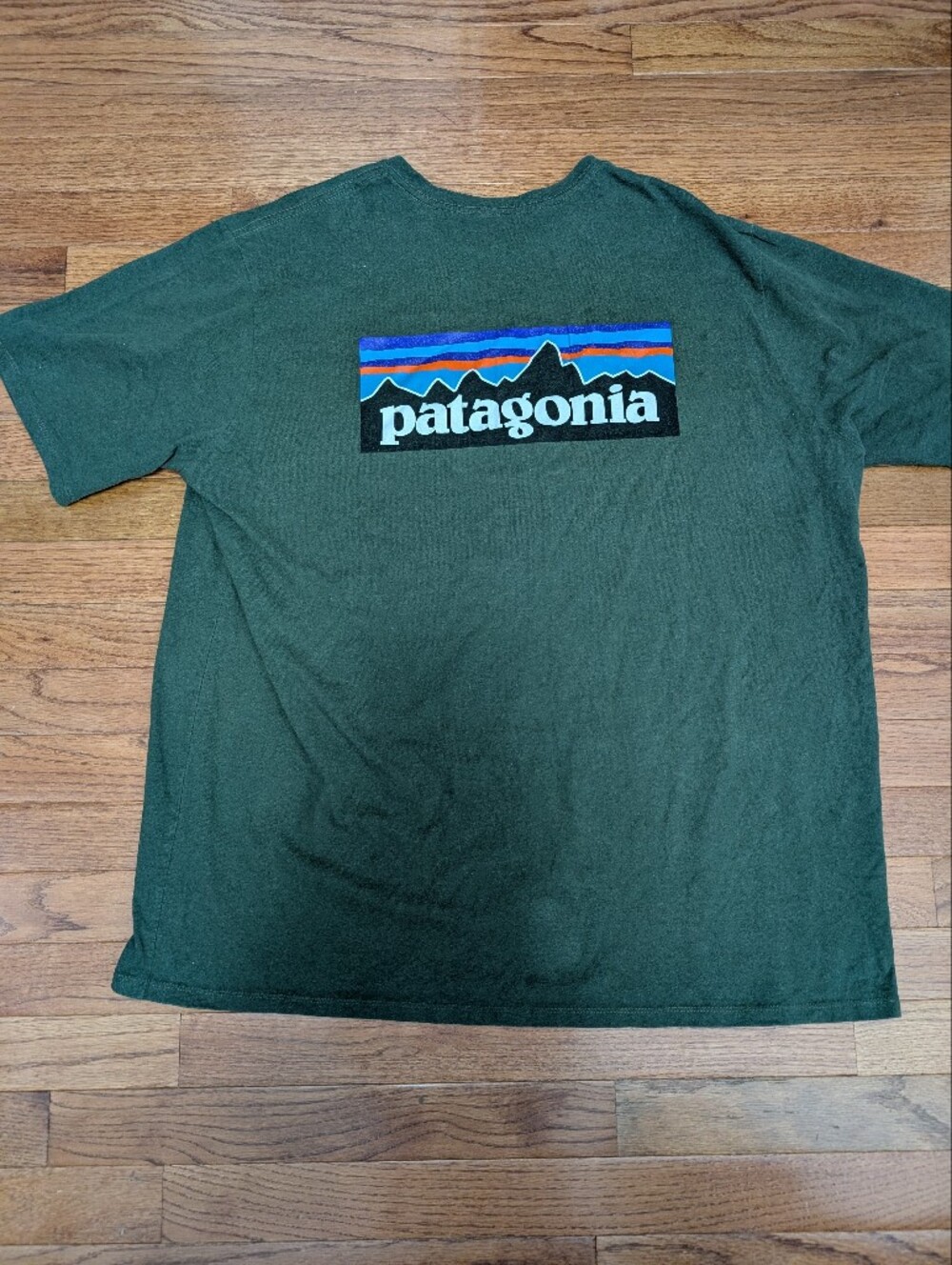 Patagonia Men’s Dark Green Logo T-Shirt
